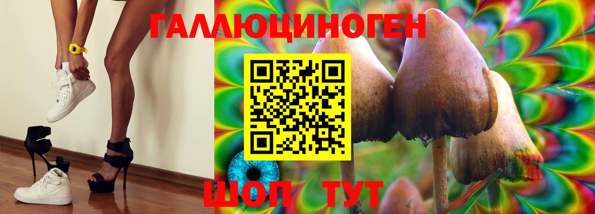 Алушта  Галлюциногенные грибы мицелий  Вход с VPN 
